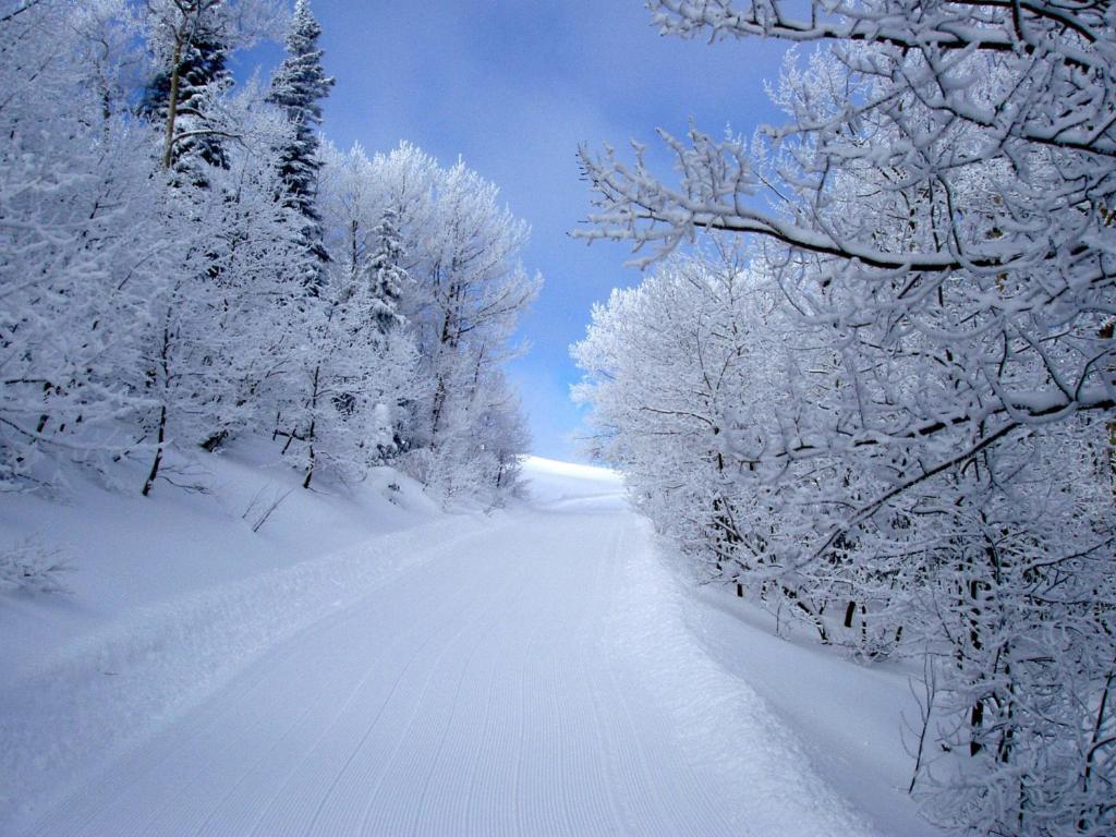 Daniels Summit Lodge Wallsburg ภายนอก รูปภาพ
